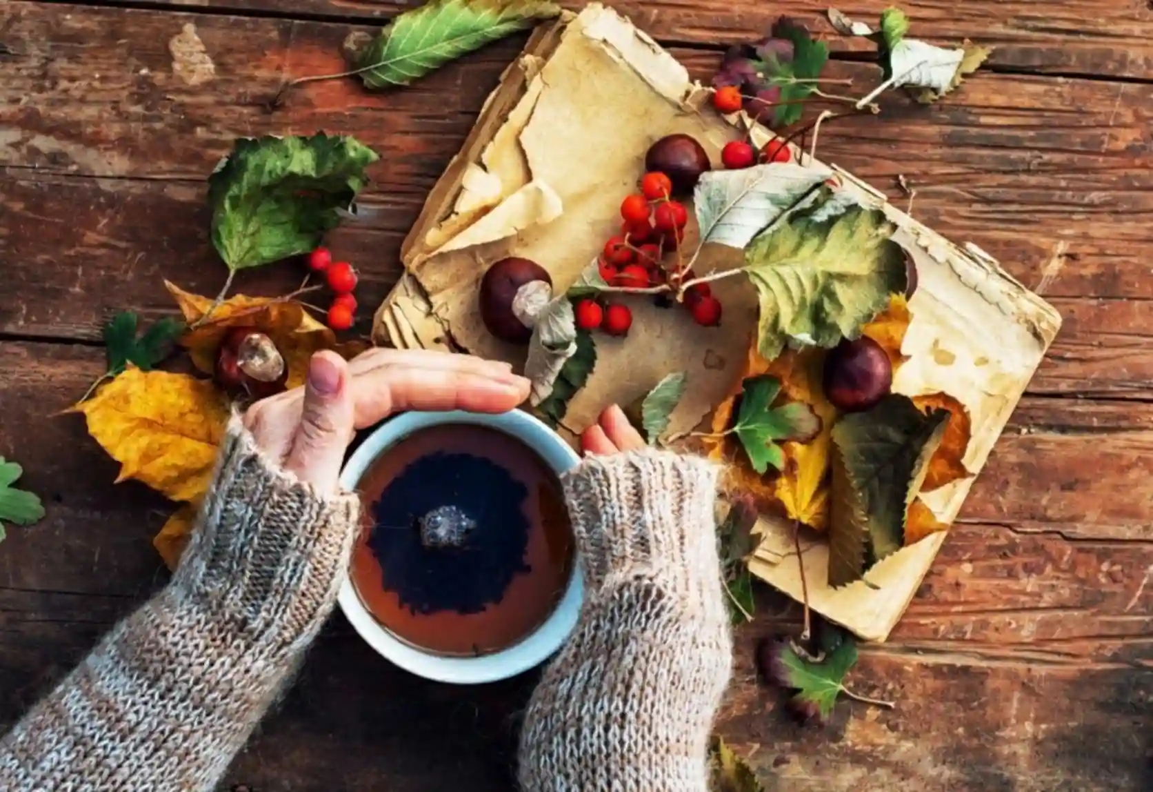 autumn teas