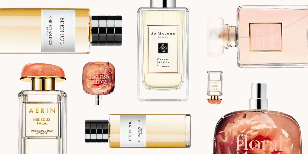 انواع نت های عطر