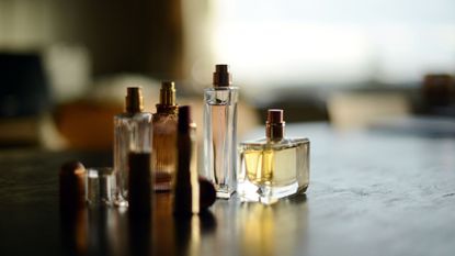 بهترین عطرهای زارا؛ ماندگار و اقتصادی