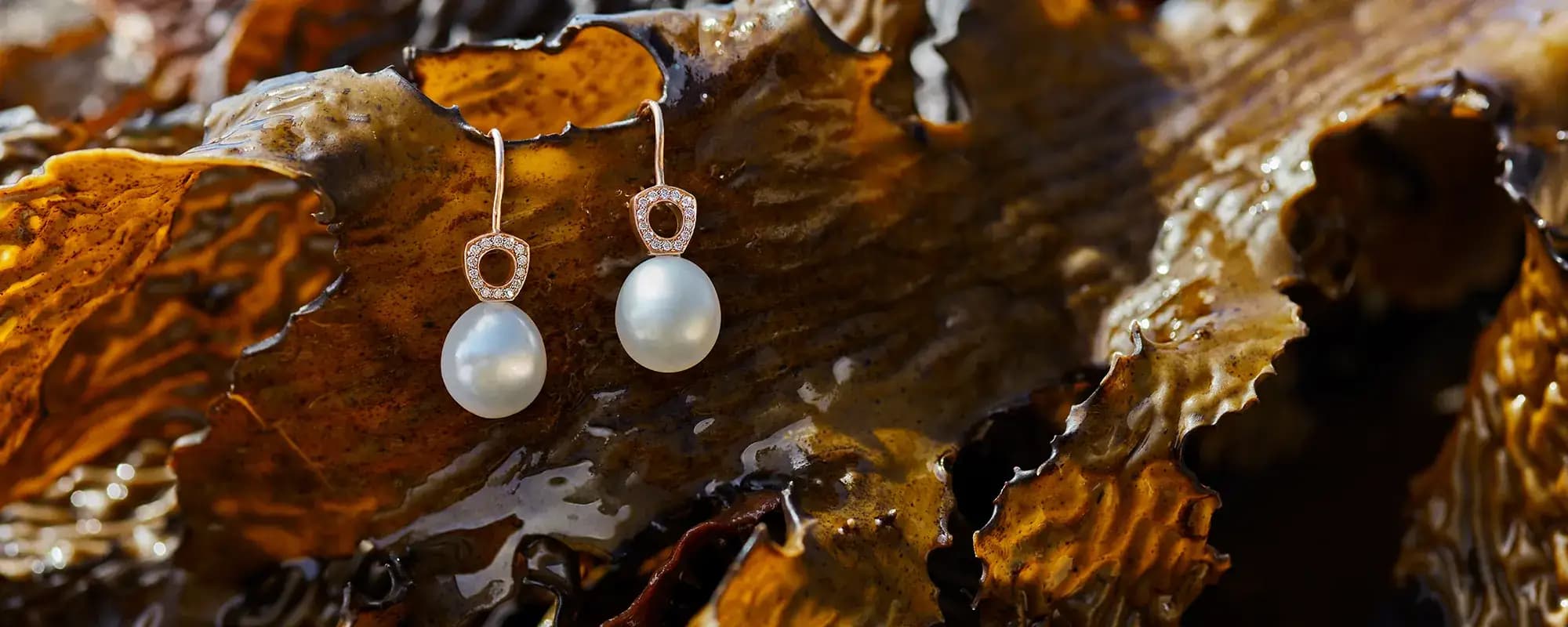 اکسسوریهای مرواریدی جذاب